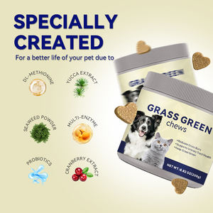 Factory Direct <strong>Pet</strong> Grass Green Chew Supplements <strong>Probiotic</strong>+D-Mannose, Gut Boost&amp;Urinary Health Bulk Wholesale &amp; OEM Private Label - Product Image 2