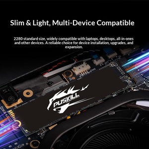 Puji M.2 NVMe Dahili 2.5" Masaüstü Katı Hal Sürücüsü 256G/512G 3000MB/s Okuma Hızı 2500MB/s Yazma Hızı Sınır Ötesi Toptan Satış - Product Image 3