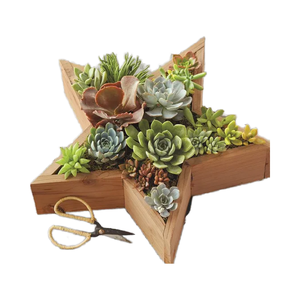 JUNJI-Maceta <span class=keywords><strong>suculenta</strong></span> <span class=keywords><strong>de</strong></span> madera recuperada para jardín en forma <span class=keywords><strong>de</strong></span> <span class=keywords><strong>estrella</strong></span> y decoración del hogar <span class=keywords><strong>con</strong></span> suculentas <span class=keywords><strong>de</strong></span> madera en maceta en cartón - Product Image 1