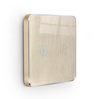 Interrupteur tactile intelligent en verre trempé 10A, double pôle, 2 gangs, or brossé, compatible avec l'application Smart Life, WiFi, UK/EU, OEM/ODM