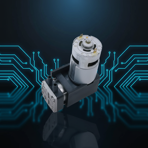 2.8 <strong>Bar</strong> High Pressure Mini Air <strong>Pump</strong>, DC Piston Vacuum <strong>Pump</strong> for General Industrial Use - Product Image 5
