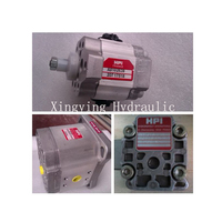 Pompe à engrenages personnalisée 30230422 P1AAN2008 HL20 C02 pièces de rechange hydrauliques à vendre