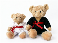 Peluche Ours Mignon Taekwondo en Polyester Personnalisable pour Événements de Clubs d'Arts Martiaux Style Karaté Cadeau Idéal