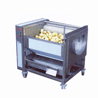 Pinda Aardappel Gember Borstel Wassen Cleaning Machine Groente/Fruit Wassen Verwerking Lijn Gemaakt In China
