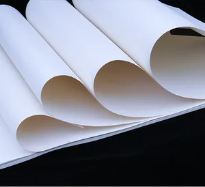 Cardstock 2019 Custom Printed 120gsm High Quality White Ivory Board Cardstock Paper