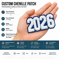 Patchs chenille personnalisés OEM avec numéros de veste universitaire, broderie éponge de haute qualité, thermocollants pour vestes Letterman et vêtements