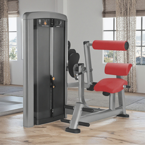 Máquina de Ejercicios de Extensión de Espalda con Selección de Carga por Pin QLK Fitness Equipment LK-020, Equipo Comercial para Gimnasio - Product Image 6