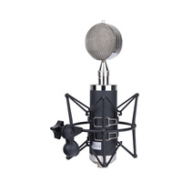 Microphone à condensateur professionnel BV563, microphone de studio à large diaphragme avec capsule interchangeable pour l'enregistrement vocal