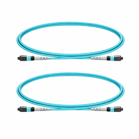 Câble de brassage fibre optique personnalisé 24 fibres OS2 SM MPO vers 2x12 MPO