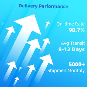 خدمات الشحن الجوي السريع من الباب إلى الباب من الصين إلى الولايات المتحدة/الاتحاد الأوروبي، شحن أمازون FBA مع الضرائب المشمولة، خدمة شحن جوي - Product Image 6