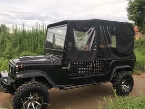 Vehículo Todoterreno Jeep UTV ATV de 200cc 350CC para Playa y Desierto, 2WD, Eléctrico/Gasolina/Diésel, 1000w, Automático/Cadena, 4 Tiempos, CDI, para Adultos - Product Image 5