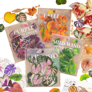 Pack d'autocollants décoratifs en PET sur le thème <span class=keywords><strong>des</strong></span> feuilles, série Rêve de Vingt-Quatre Ans, collection Beauté du Vallon, pour carnet - Product Image 1