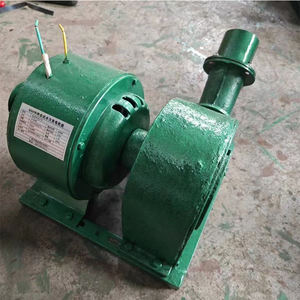 미니 600W 수력 발전 장치 80mm 파이프 펠톤 터빈, 스테인리스 러너 0.6KW 발전기 220V 정격 전압 - Product Image 2