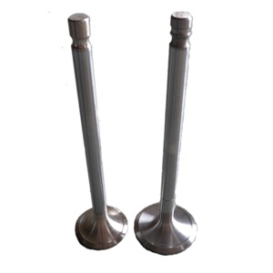 Nhà máy cung cấp van nạp & xả 1361196 & 1361193 cho động cơ Scania ds8 & DN8 bao gồm cả vòi van - Product Image 3