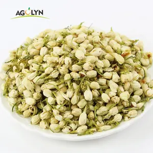 中国风味茶健康茶中国花茶茉莉花芽