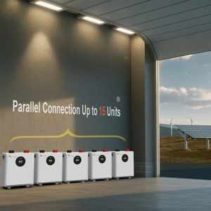 Batterie LiFePO4 Felicitysolar FLA24200WG2 3,84 kW 24 V 200 Ah 5 kWh avec double communication (RS485/CAN) pour stockage d'énergie résidentiel - Product Image 3