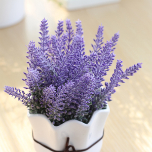 Nordique de haute qualité décoration de la maison bonsaï succulente céramique intérieur planteur Pot - Product Image 5