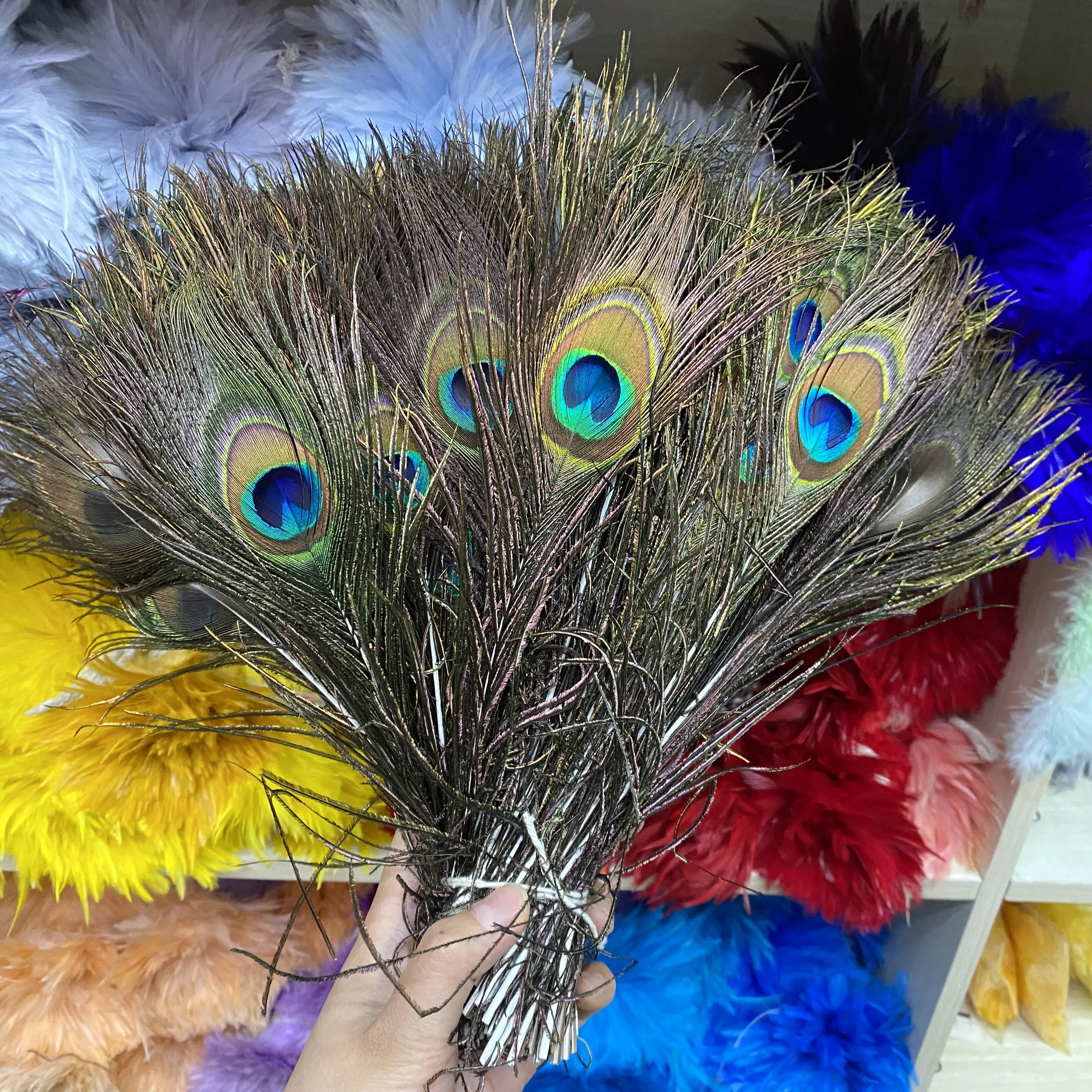Peacock Feather Eyes Natural Peacock Tail Eyes Long Peacock Feather Earrings Art Craft Home Decorative Feathers