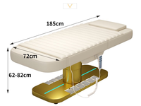 Chaise Hydraulique de Luxe Réglable, Table de Massage pour Salon de Spa, Électrique Portable, Moderne, 3 Moteurs, Lit de Beauté du Visage Incurvé