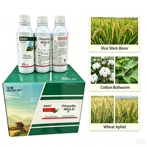 Pesticida Agroquímico Clorpirifos 480g/L EC para Eliminación de Insectos - Product Image 1