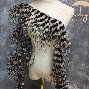 Bordura di Piume di Struzzo da Cucire <span class=keywords><strong>Frange</strong></span> Piume Spogliate Nastro di Pizzo per Abiti Tessuti Cappelli e Costumi - Product Image 1