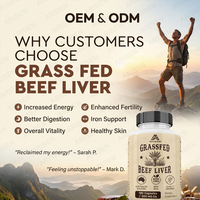 Kapsul Hati Sapi Grass Fed OEM, Suplemen Kesehatan Hati Beku Kering, Mendukung Imunitas dan Kesehatan Tubuh Secara Keseluruhan