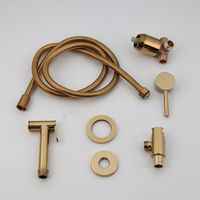 Ensemble de pulvérisateur de bidet portatif en acier inoxydable plaqué or, design moderne, économie d'eau, accessoires anaux pour femmes, robinet de salle de bain