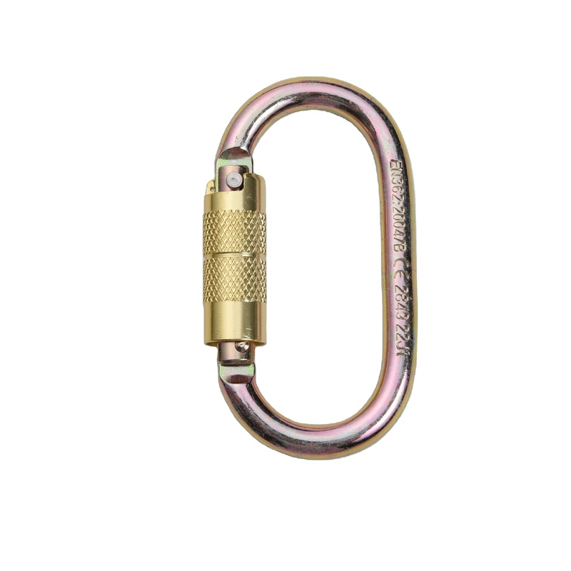 D type Alloy Steel Climbing Buckle