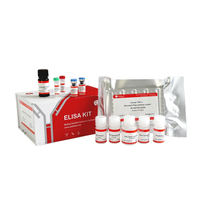Kit ELISA sandwich pour CD30/TNFRSF8 humain (Membre de la superfamille des récepteurs du facteur de <span class=keywords><strong>nécrose</strong></span> tumorelle) - Réactifs de haute pureté pour la recherche scientifique - Product Image 1