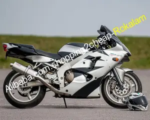 هدية مجموعة ل Kawasaki ZX6R ZX-6R ZX 6R النينجا 00 01 02 2000 2011 2002 Sportbike ABS الجسم الفضة Fairings عدة