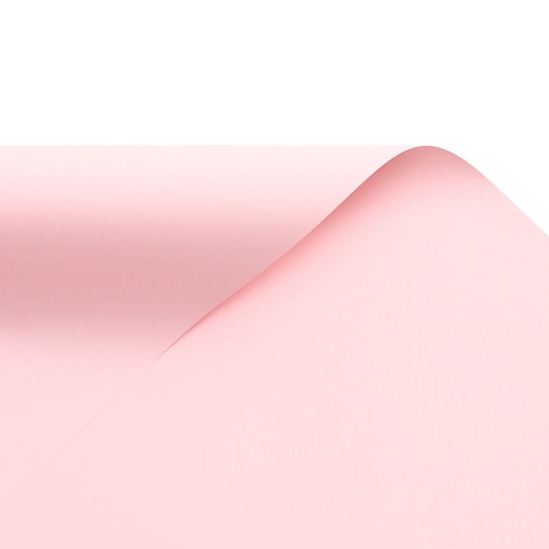 Rose fleur de cerisier