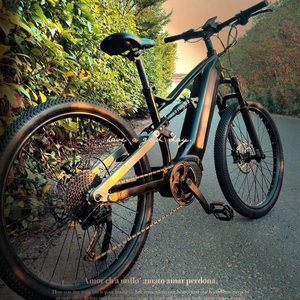 Used bosch electric bike for sale hotsell