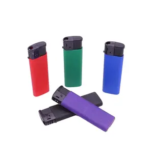 Customized Lighter Plastic Mold