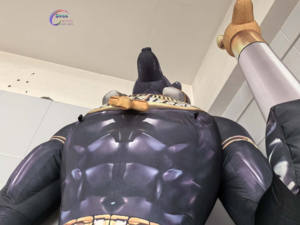 Ancienne Égypte Statue gonflable Anubis Impression <span class=keywords><strong>numérique</strong></span> Fournitures <span class=keywords><strong>de</strong></span> fête pour événement - Product Image 5