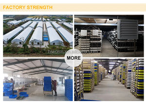 Larve di <span class=keywords><strong>Tenebrio</strong></span> Molitor Premium di Alta Qualità all'Ingrosso, Larve Disidratate - Product Image 6