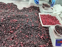 IQF Gemengde zoete bessen bulkmix fruit aardbei framboos bramen