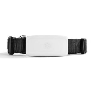 Eletrônico Pet <span class=keywords><strong>GPS</strong></span> <span class=keywords><strong>Tracker</strong></span> Mini Trilha Em Tempo Real IP67 À Prova D' Água 500mAh Geo Fence APP Produtos Do Cão