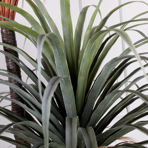 Venta de Fábrica, Planta Artificial de Bonsái de <span class=keywords><strong>Agave</strong></span> de Sangre de Dragón de Alta Calidad para Decoración del Hogar - Product Image 3
