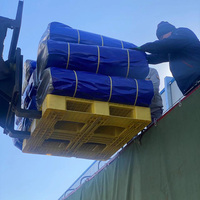 Bâche PE de haute qualité Poly Tarp avec bâche renforcée en plastique UV pour bâche de camion agricole