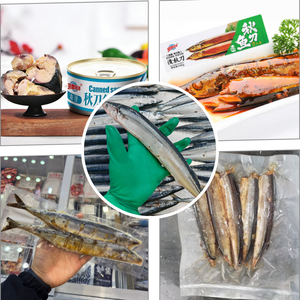 Saury Halal Sostenible Congelado Tamaño 2, Empaque Personalizado OEM para Catering y Fábrica <span class=keywords><strong>de</strong></span> Conservas <span class=keywords><strong>de</strong></span> <span class=keywords><strong>Pescado</strong></span> - Product Image 6