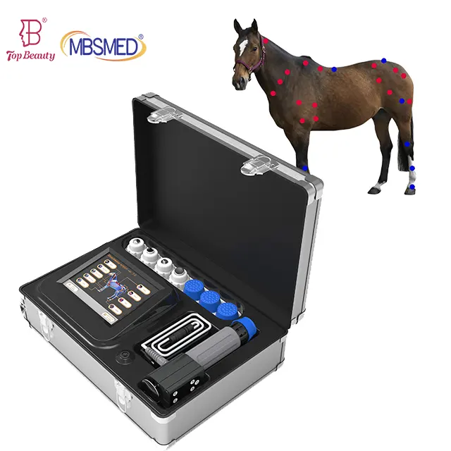 Horses Relax Machine shockwave therapy machine equine shock wave for horse
