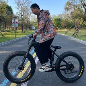 Usine directe 1200W moteur de moyeu arrière VTT électrique <span class=keywords><strong>Magura</strong></span> marque freins à disque hydrauliques 48V alimentation de batterie au Lithium - Product Image 1