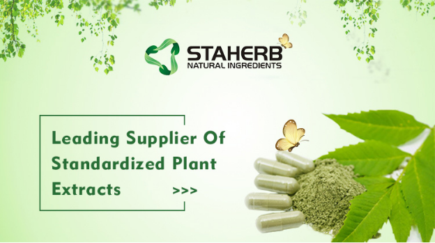 hot sell Cortex Phellodendri Chinensis Extract Coptis Chinensis extract  Berberine