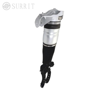 โช้คอัพแก๊สด้านหน้ารถยนต์ชุดโช้คอัพ A8 D5 4N0616039F 4N0616040FSteel - Product Image 5