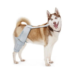 Rodillera para perro para pierna trasera rasgada para soporte con lesión de ligamento Mejor recuperación Abrazadera para perro Abrazadera para pierna trasera - Product Image 6