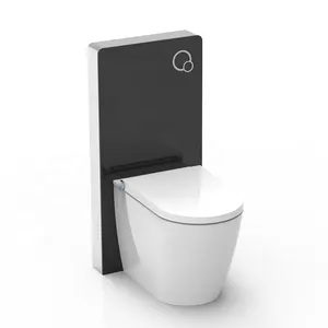 مرحاض ذكي معلق على الحائط للمرحاض بأفضل سعر فقط في الشتاء، مقعد مرحاض للتدفئة يستهلك طاقة منخفضة