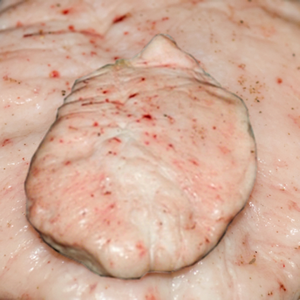 Cola de Oveja Congelada Halal IQF con Hueso, Porción de Carne para Distribuidores de Alimentos a Granel - Product Image 1