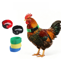 Collier réglable en nylon solide pour poulets, anti-coucou, avec boucle auto-adhésive pour volailles et petits animaux