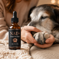 Gouttes liquides NAD+ NMN pour chiens - NMN, NAD, PPQ, Resvératrol, CoQ10 - Complément anti-âge - Étiquette privée OEM disponible
