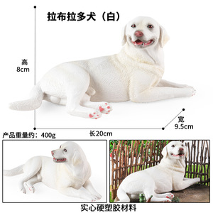 Modèle de simulation animale pour enfants yxs, jouet solide et grand Labrador Retriever, figurine cognitive de chien Corgi <span class=keywords><strong>Pomeranian</strong></span> - Product Image 3
